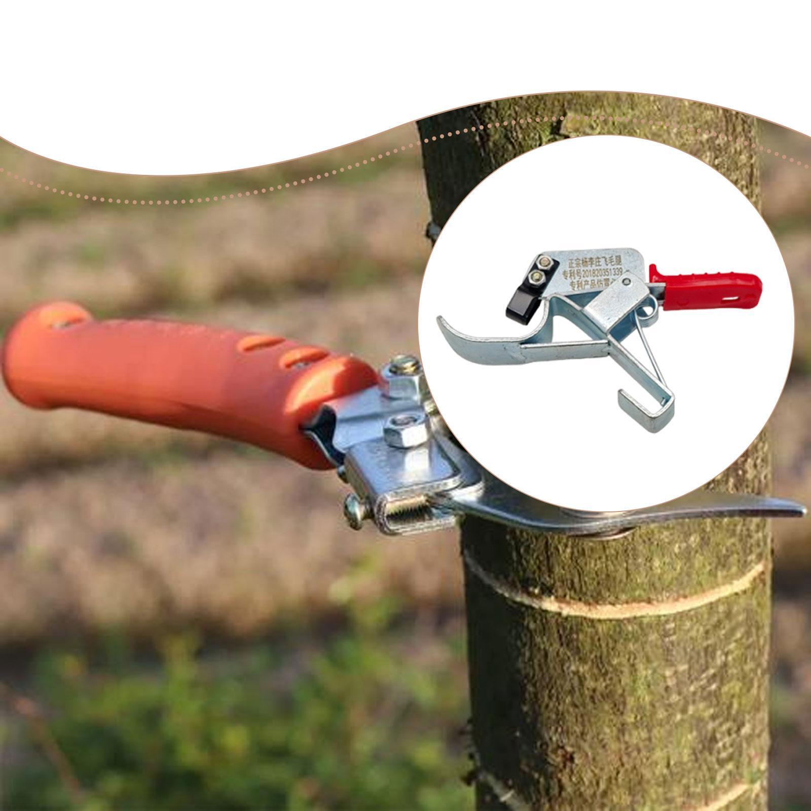 Fruit Tree Girdling Tool, Esse - Gardening Tools Essential ulasan dan harga