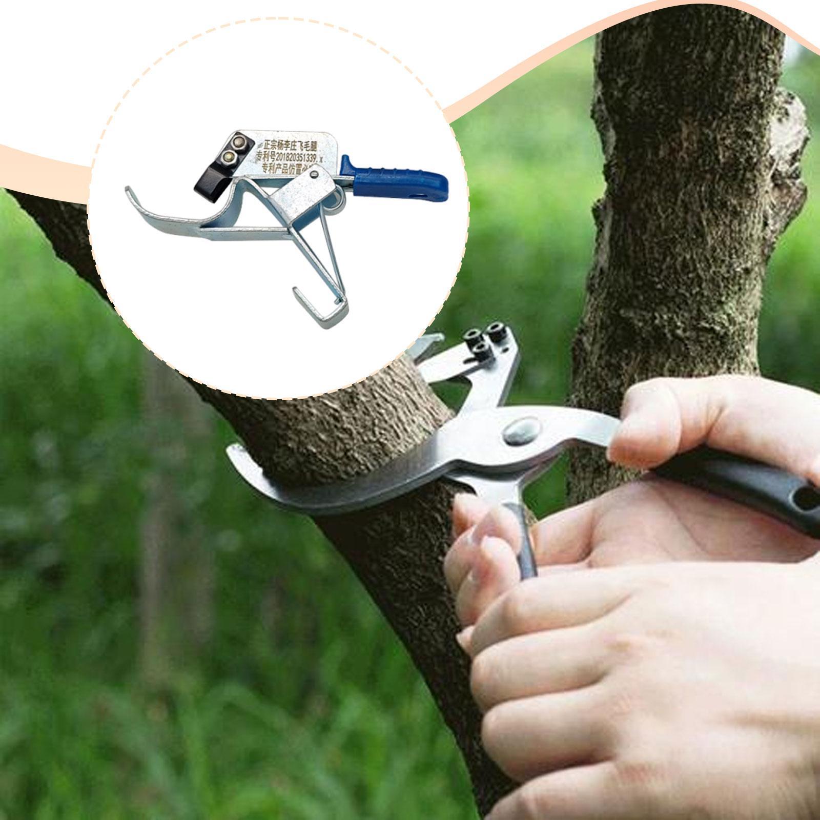 Fruit Tree Girdling Tool, Esse - Gardening Tools Essential ulasan dan harga