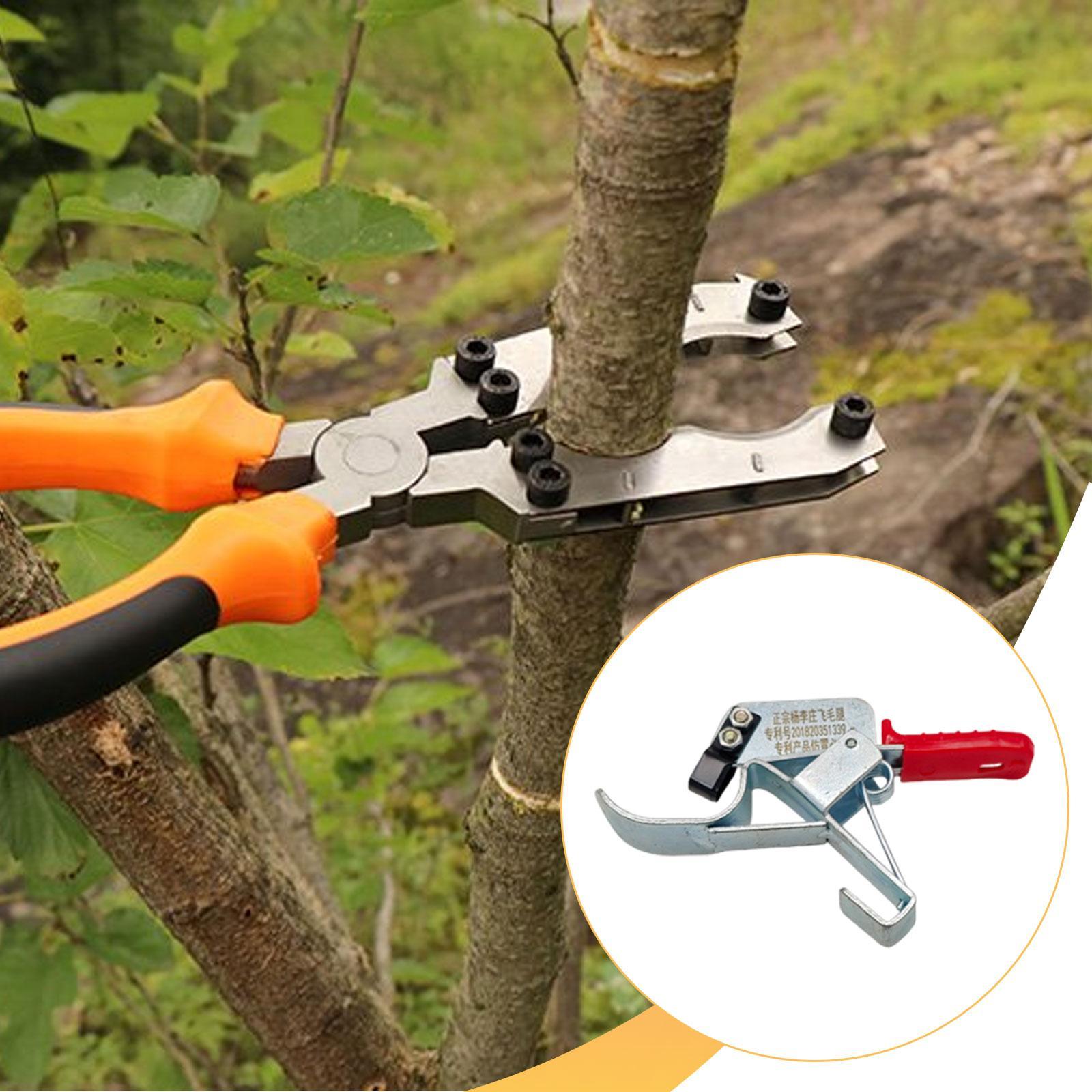 Fruit Tree Girdling Tool, Esse - Gardening Tools Essential ulasan dan harga