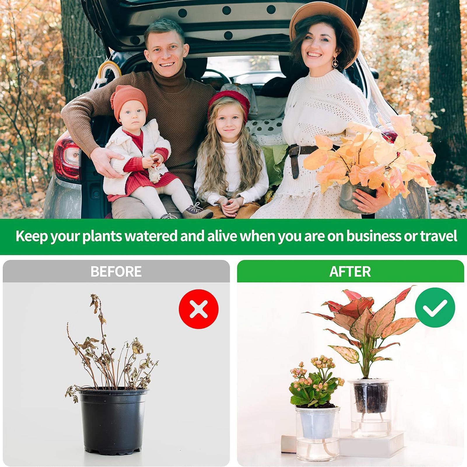 Plant Wicks For Self Watering  - Self-Watering Planter ulasan dan harga