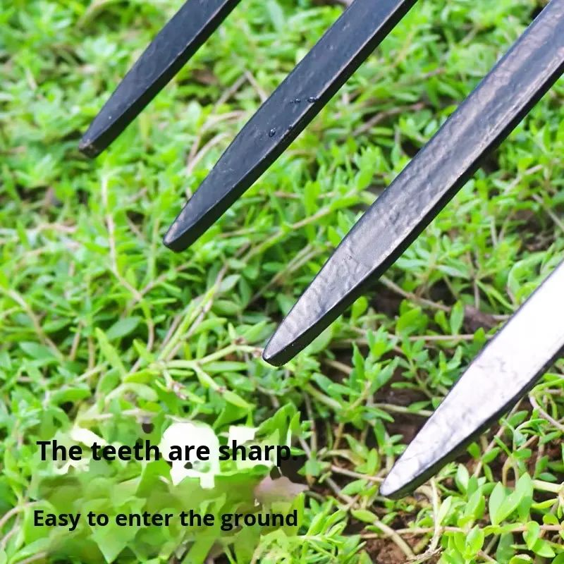 for Four Tooth Steel Iron Fork - Spade Digging Fork ulasan dan harga