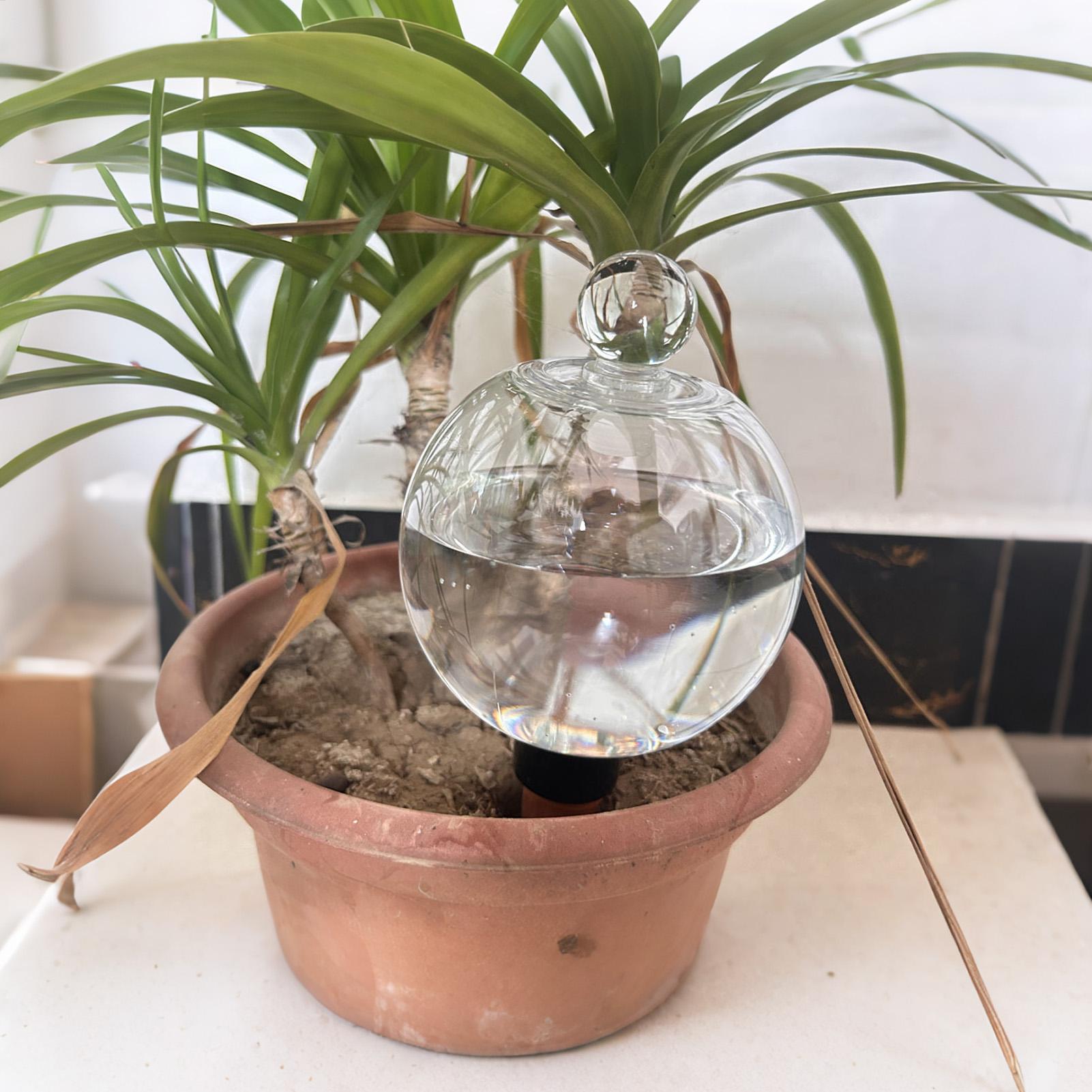 Plant Watering Bulbs 4pcs 500m - Automatic Plant Waterer ulasan dan harga
