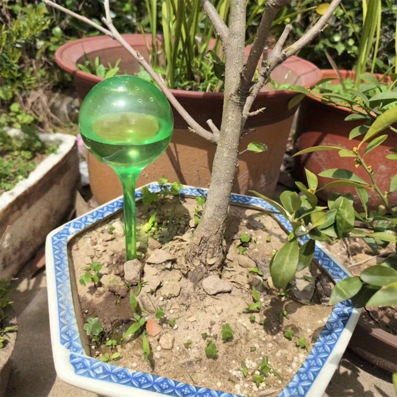 6PCS Indoor Plants Self Wateri - Automatic Plant Waterer ulasan dan harga
