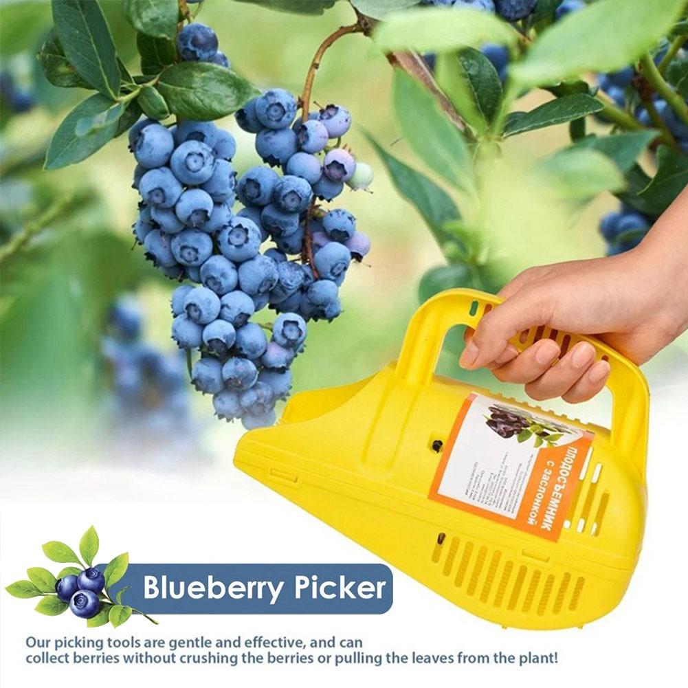 Easy-Grip Blueberry Picker Too - Gardening Tools Must Haves ulasan dan harga