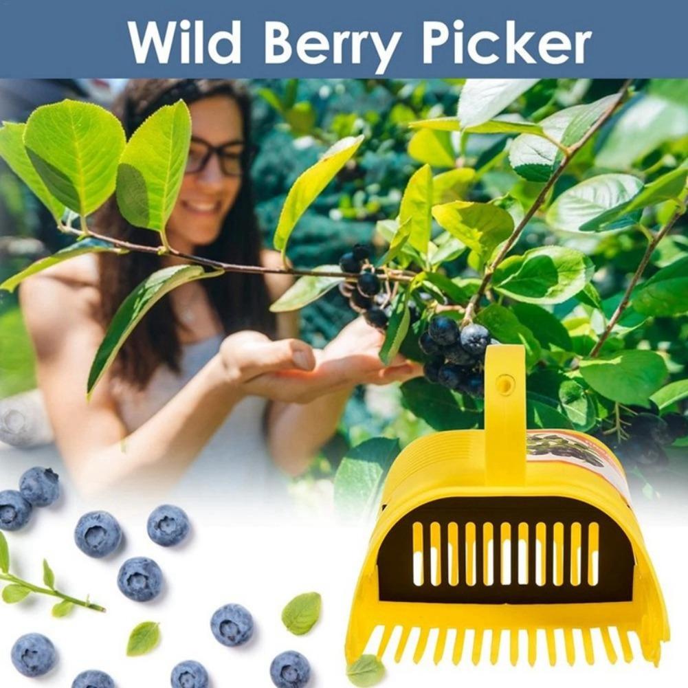 Easy-Grip Blueberry Picker Too - Gardening Tools Must Haves ulasan dan harga