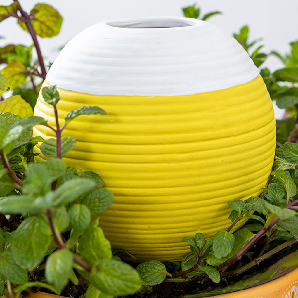 Ceramics Automatic Plant Water - Gardening Tools Must Haves ulasan dan harga