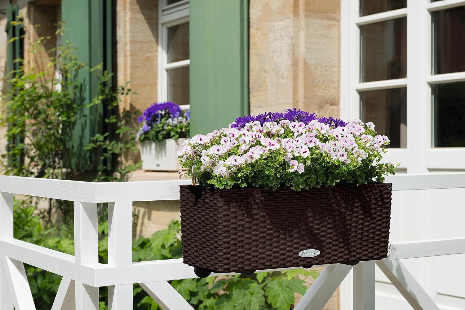 BALCONERA Cottage 50 Mocha, Se - Self-Watering Planter ulasan dan harga