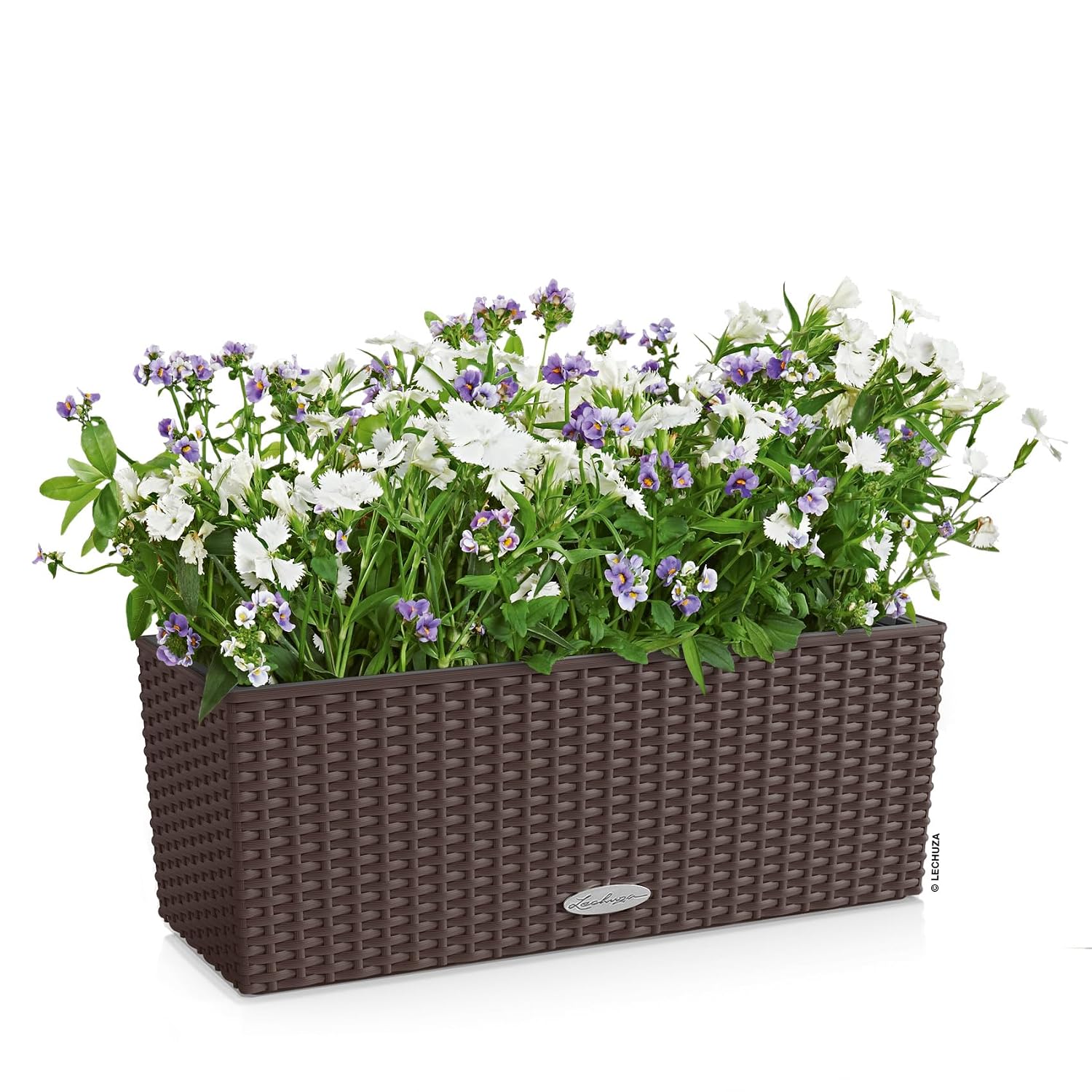 BALCONERA Cottage 50 Mocha, Se - Self-Watering Planter ulasan dan harga