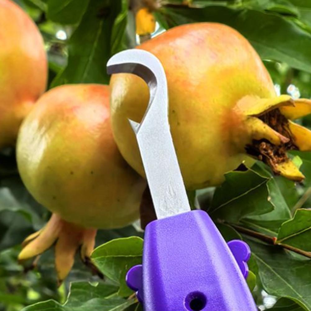 Portable Fruit Vegetable Quick - Gardening Tools Vegetables ulasan dan harga