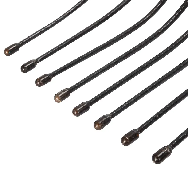 for Winslow & Ross 4 Teeth For - Spade Digging Fork ulasan dan harga